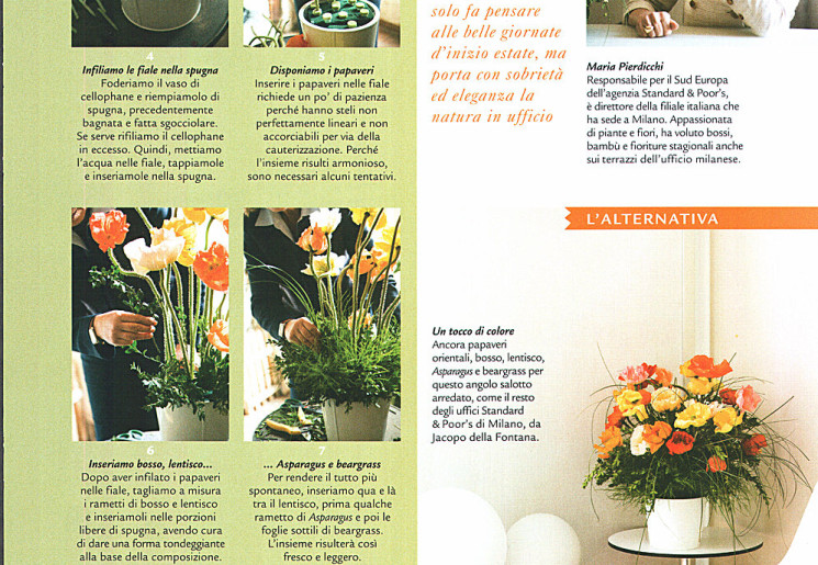 Gardenia - D2U per il giardino di Standard&Poors